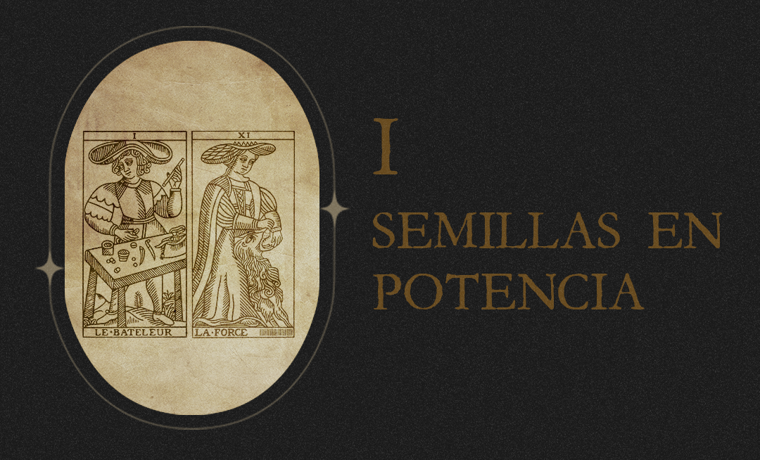 #1 Semillas en potencia